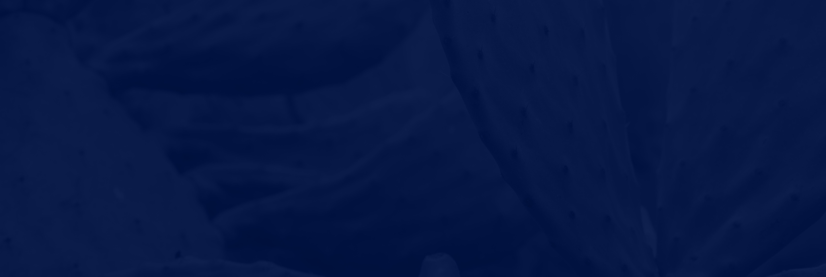 24/7 answering service | Lex Reception