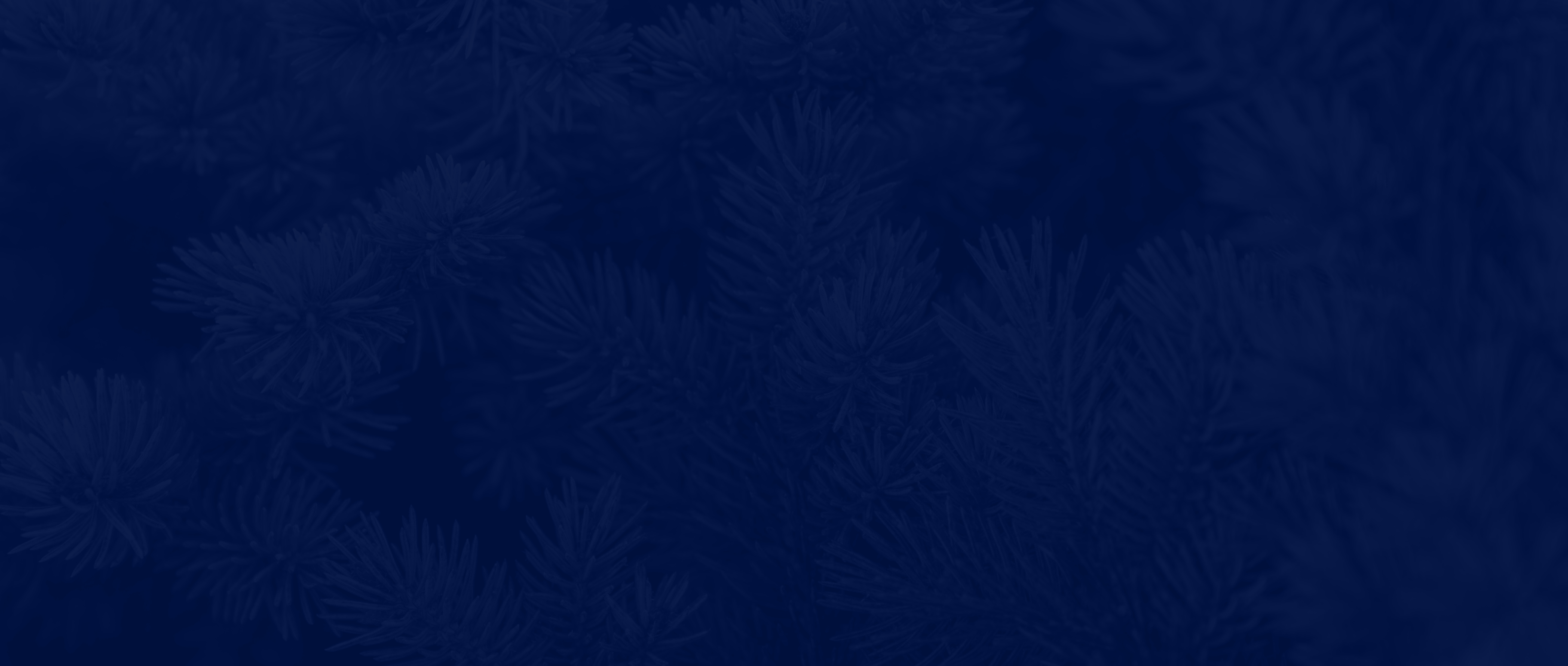LEX and Cloudlex Integration