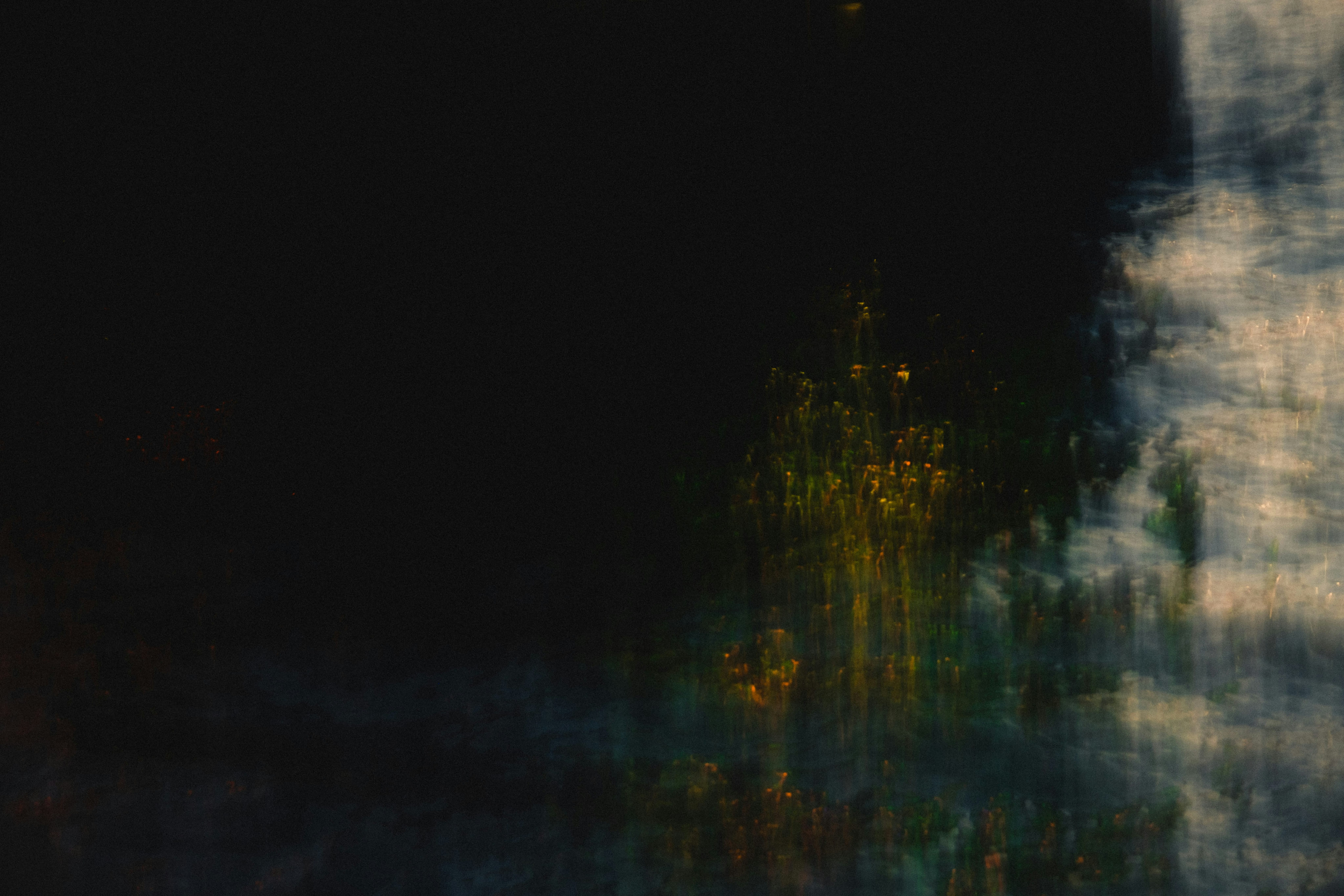 Blurred forest landscape at dusk