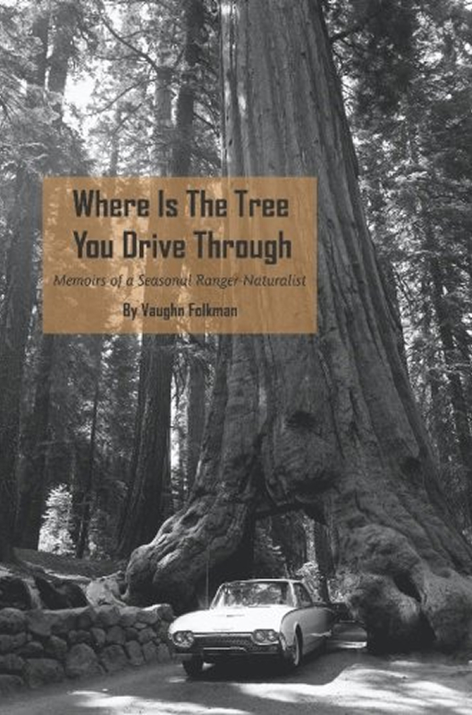 Where is the Tree You Drive Through by Vaughn Folkman