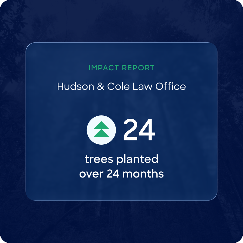 LEX impact report graphic